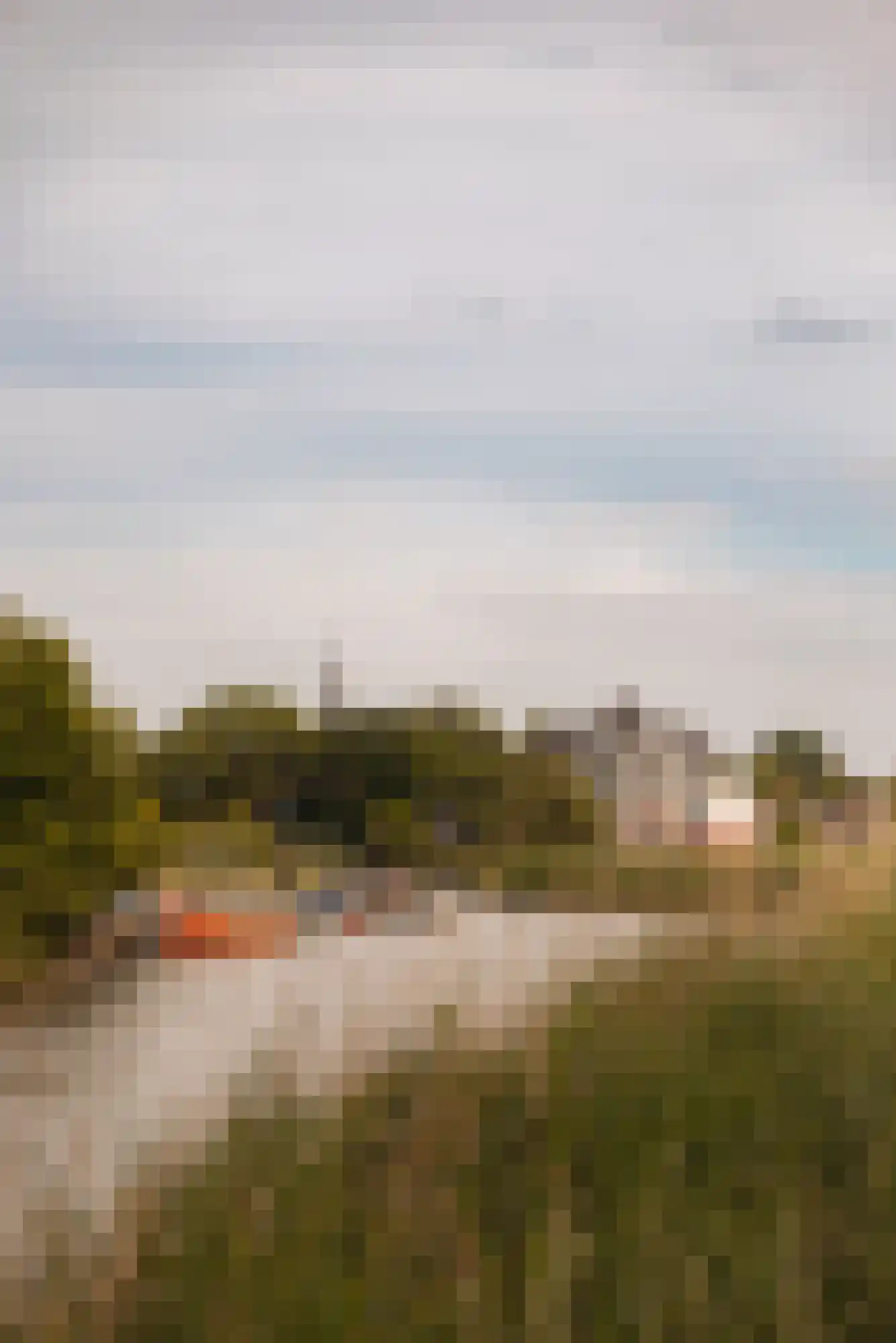 Dominee Bleekerhof 41 A Abcoude thumbnail 41