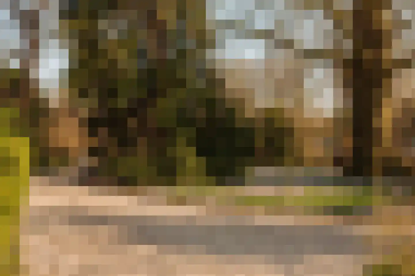 Dominee Bleekerhof 41 A Abcoude thumbnail 43