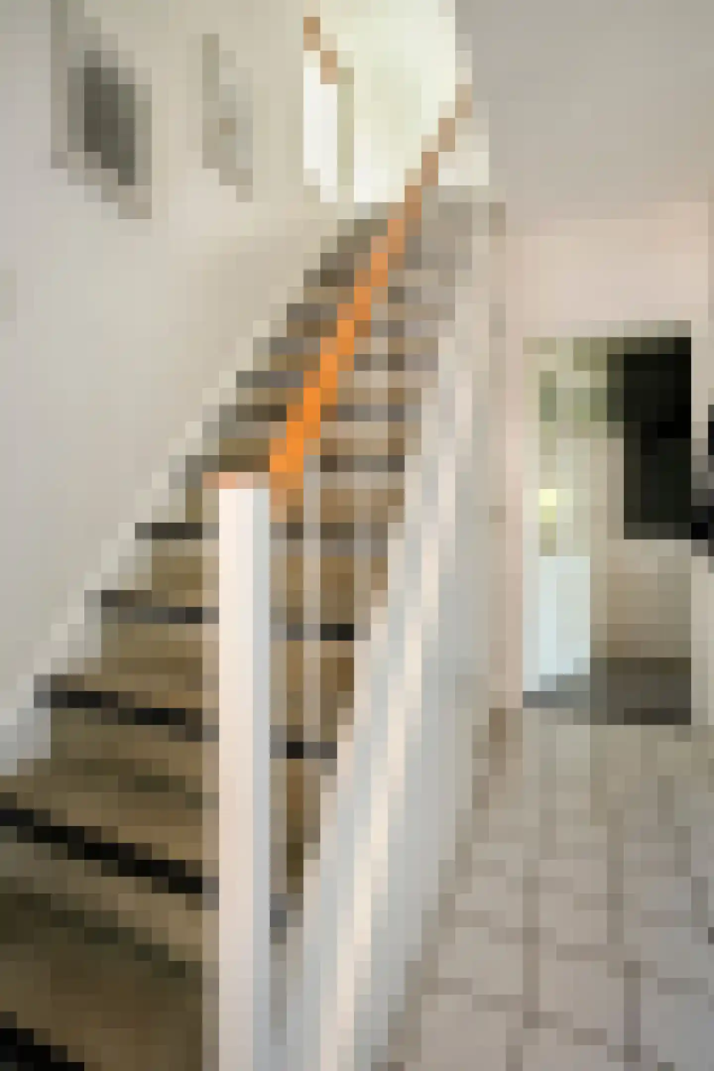 Dominee Bulensstraat 10 Varsseveld thumbnail 11