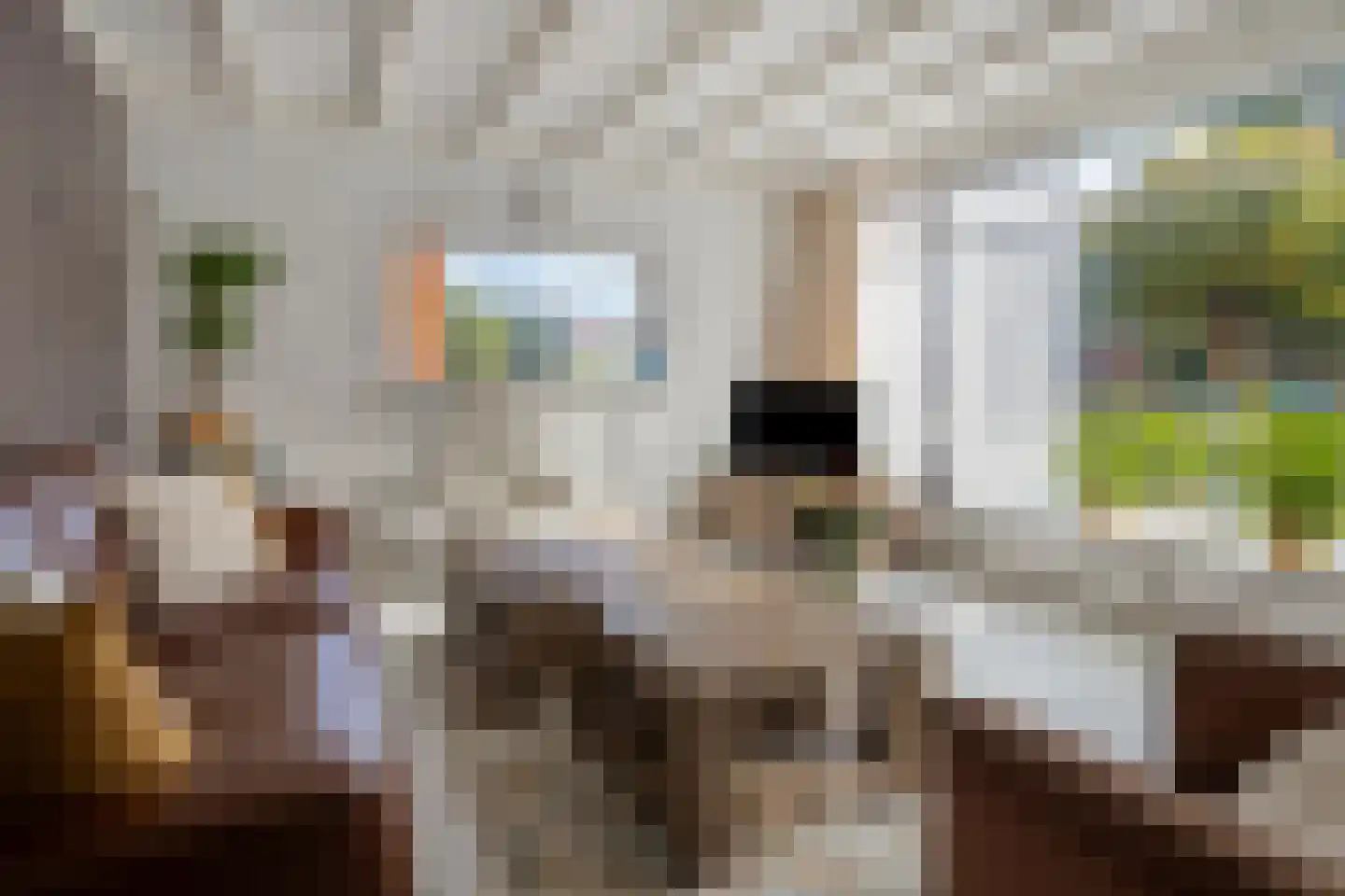 Dominee Bulensstraat 10 Varsseveld thumbnail 13