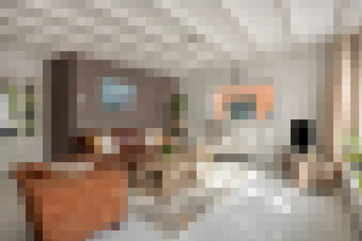 Dominee Bulensstraat 10 Varsseveld thumbnail 14