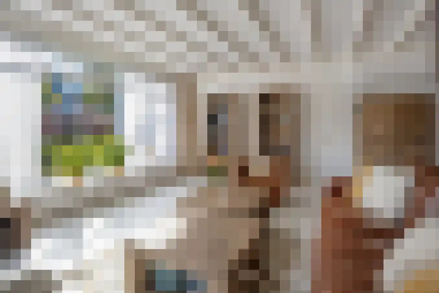 Dominee Bulensstraat 10 Varsseveld thumbnail 15