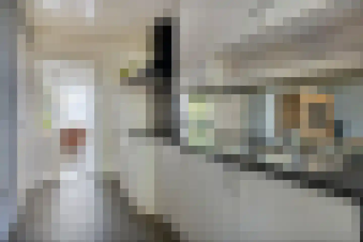 Dominee Bulensstraat 10 Varsseveld thumbnail 18