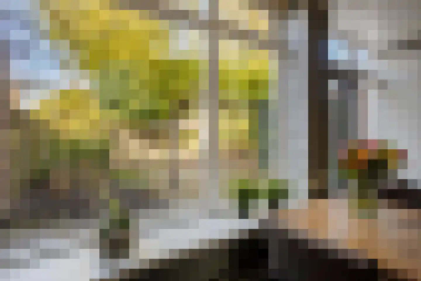 Dominee Bulensstraat 10 Varsseveld thumbnail 22