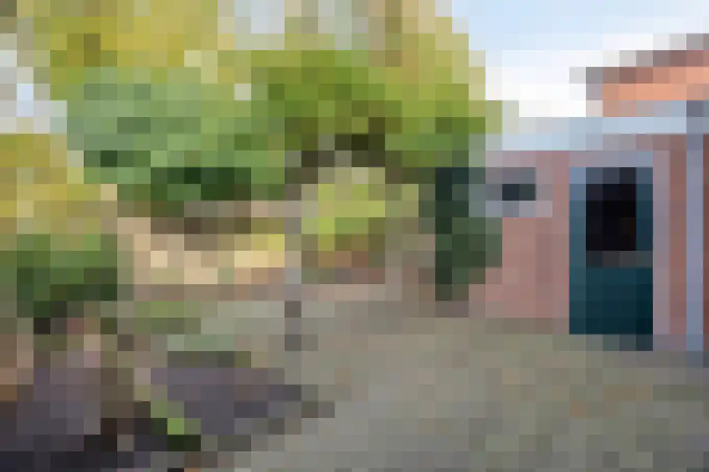 Dominee Bulensstraat 10 Varsseveld thumbnail 34