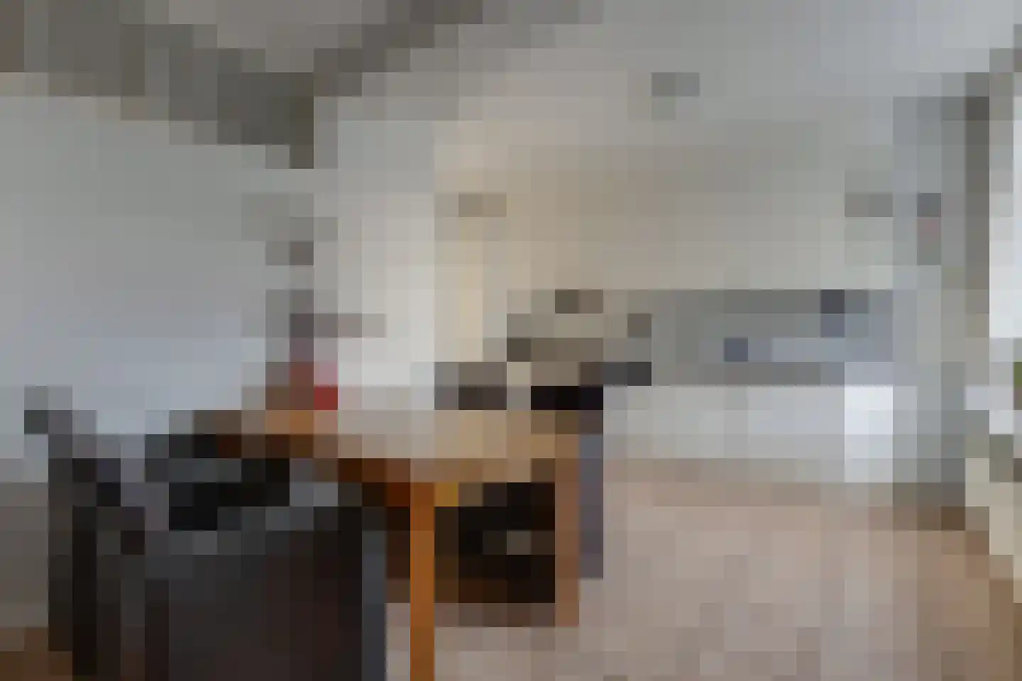Dominee Bulensstraat 12 Varsseveld thumbnail 17