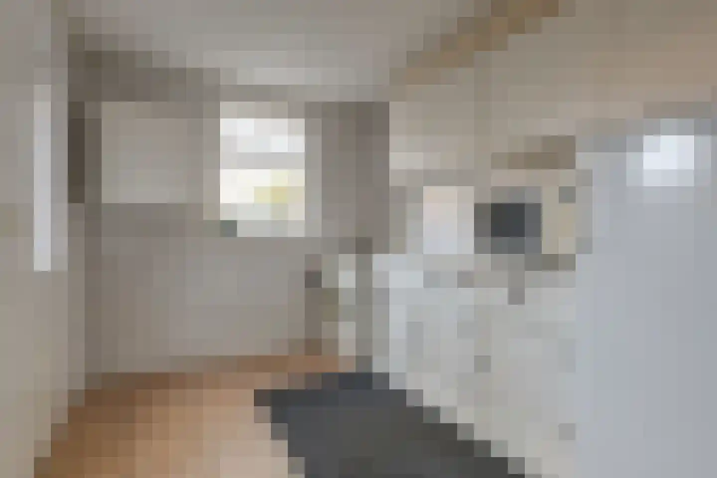 Dominee Bulensstraat 12 Varsseveld thumbnail 20