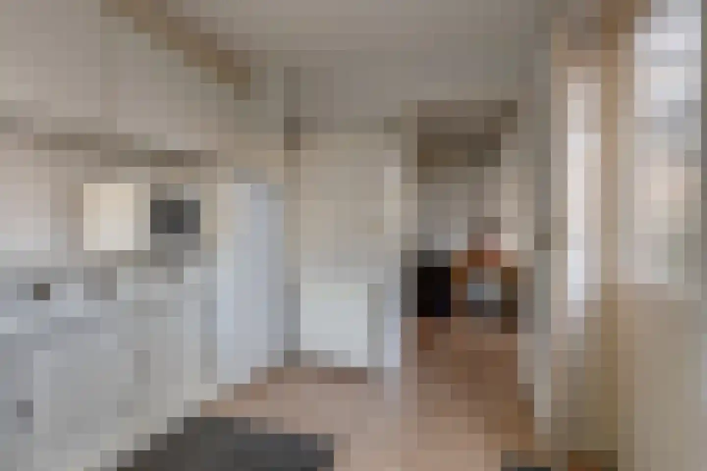 Dominee Bulensstraat 12 Varsseveld thumbnail 21