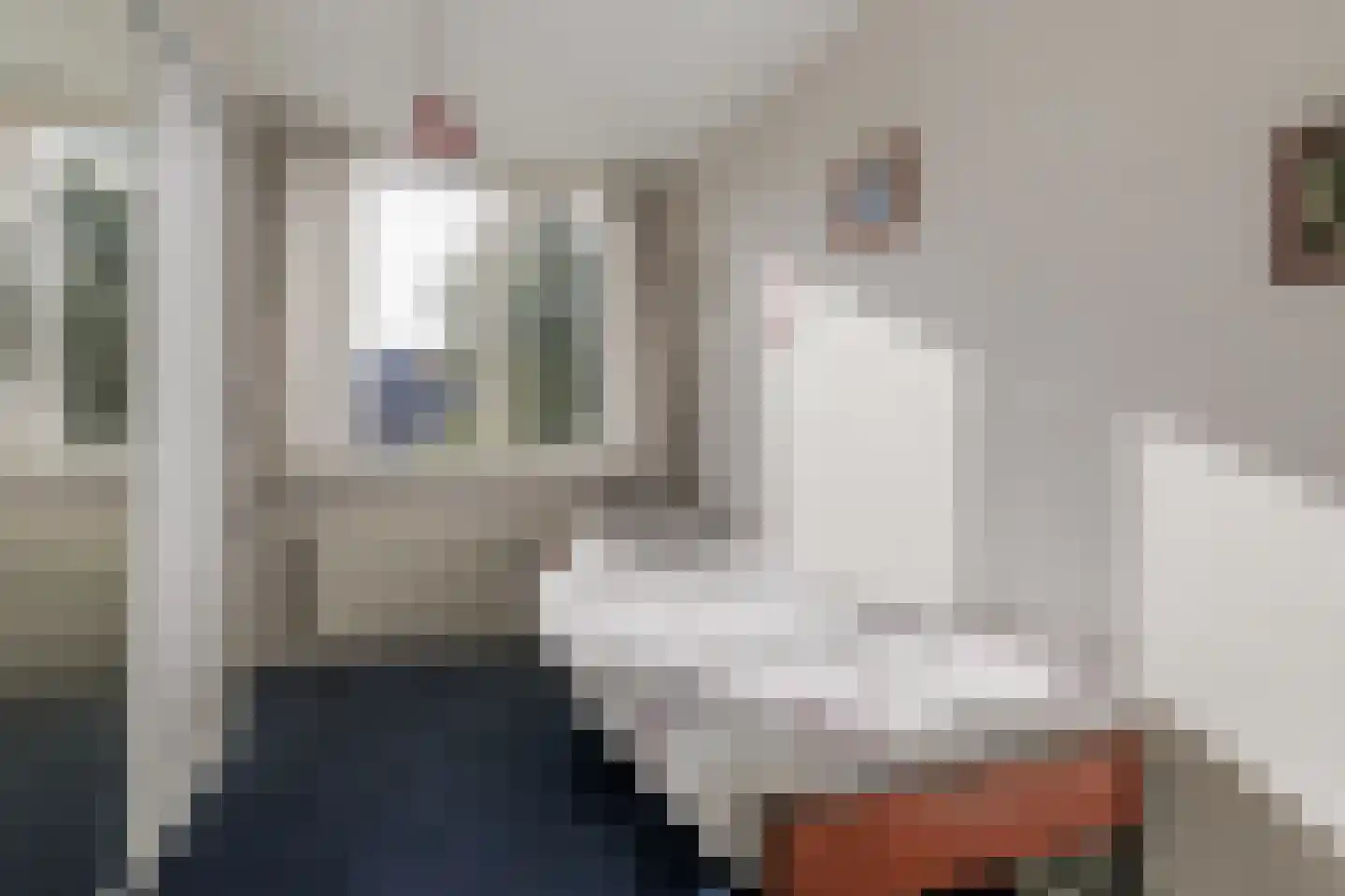 Dominee Bulensstraat 12 Varsseveld thumbnail 27