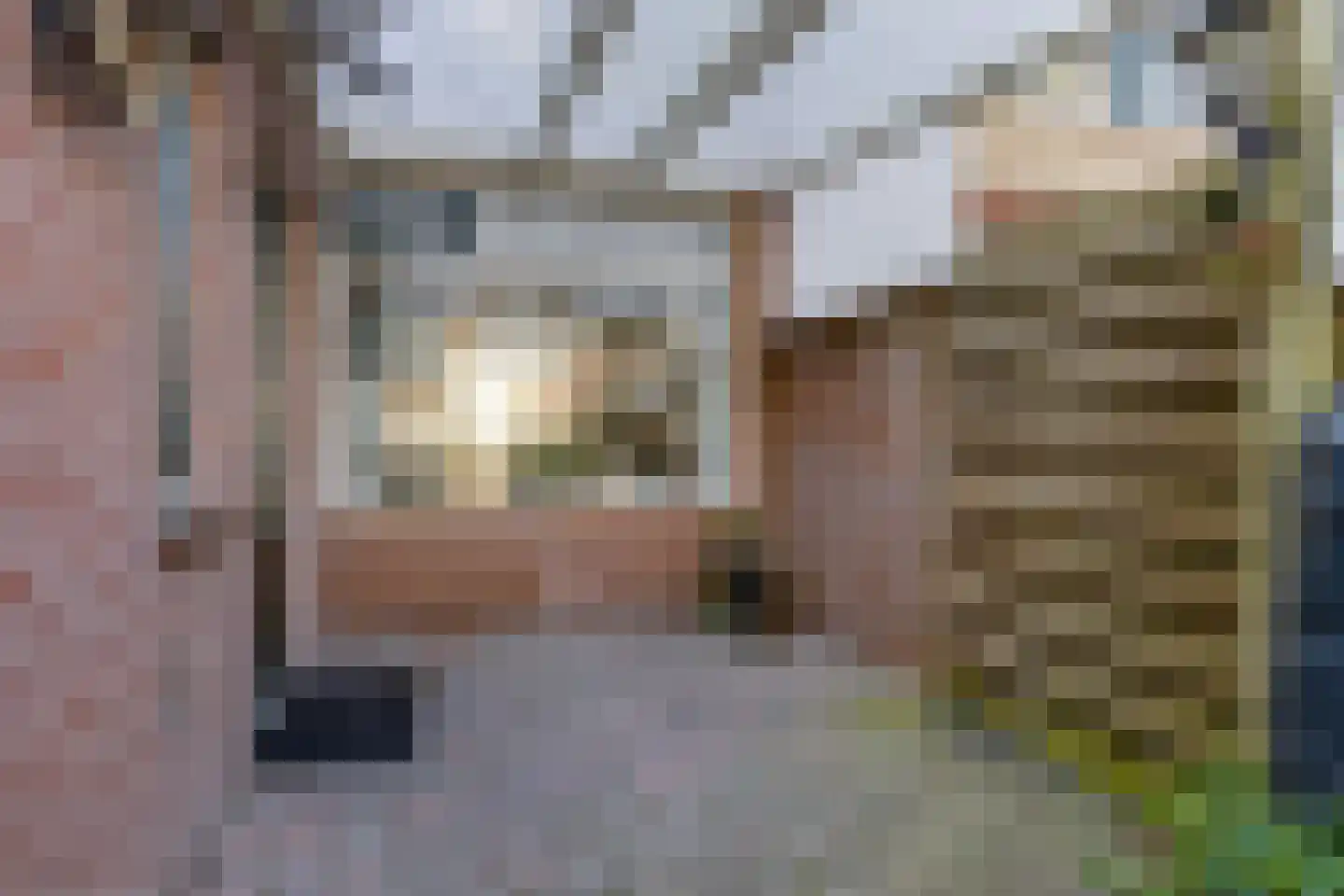 Dominee Bulensstraat 12 Varsseveld thumbnail 41