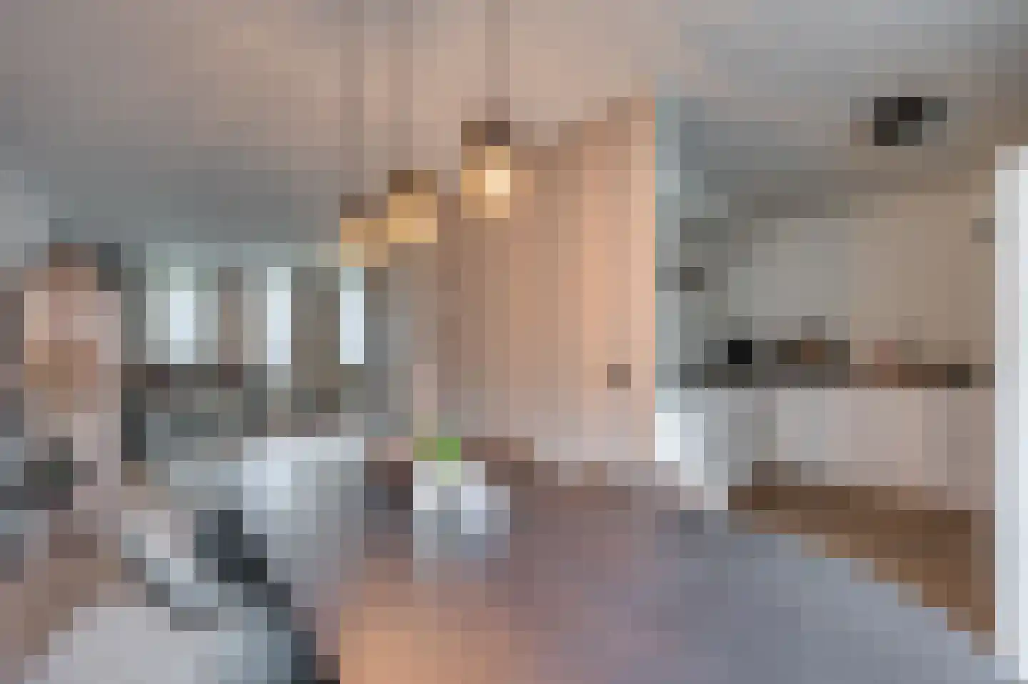 Dominee de Jonglaan 26 Venlo thumbnail 13