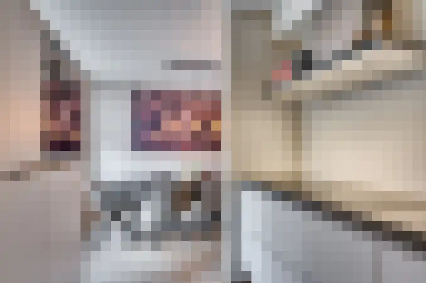 Dominee de Jonglaan 26 Venlo thumbnail 17