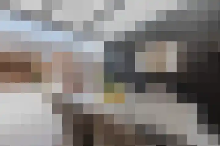 Dominee de Jonglaan 30 Venlo thumbnail 32
