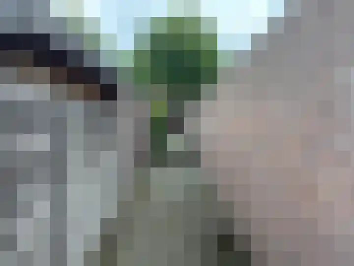 Dominee de Jonglaan 30 Venlo thumbnail 38