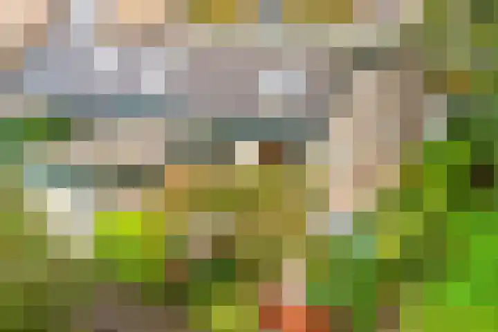 Dominee Honderslaan 10 Wassenaar thumbnail 22