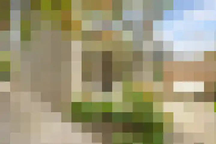 Dominee Honderslaan 10 Wassenaar thumbnail 23
