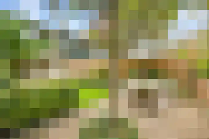 Dominee Honderslaan 10 Wassenaar thumbnail 25