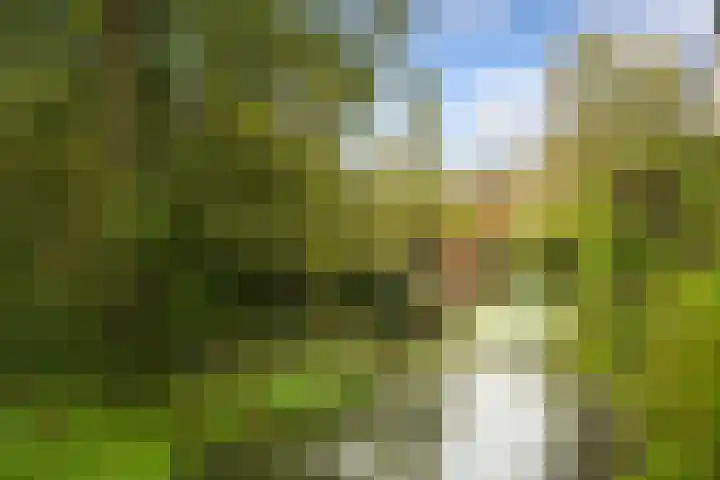 Dominee Honderslaan 10 Wassenaar thumbnail 26