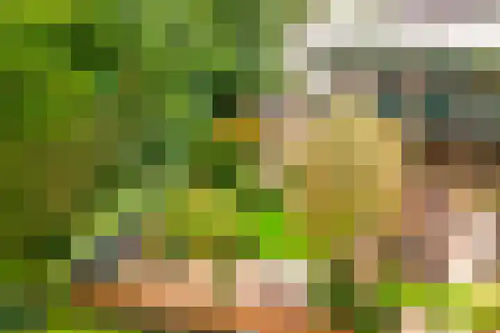 Dominee Honderslaan 10 Wassenaar thumbnail 27