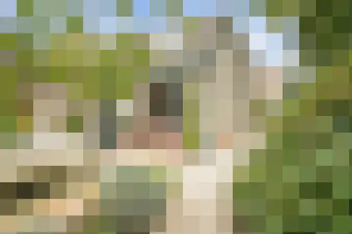 Dominee Honderslaan 10 Wassenaar thumbnail 4