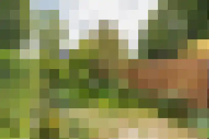 Dominee Honderslaan 12 Wassenaar thumbnail 11