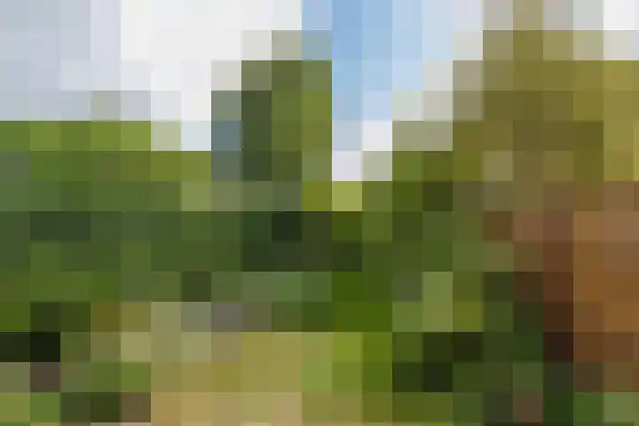 Dominee Honderslaan 12 Wassenaar thumbnail 12