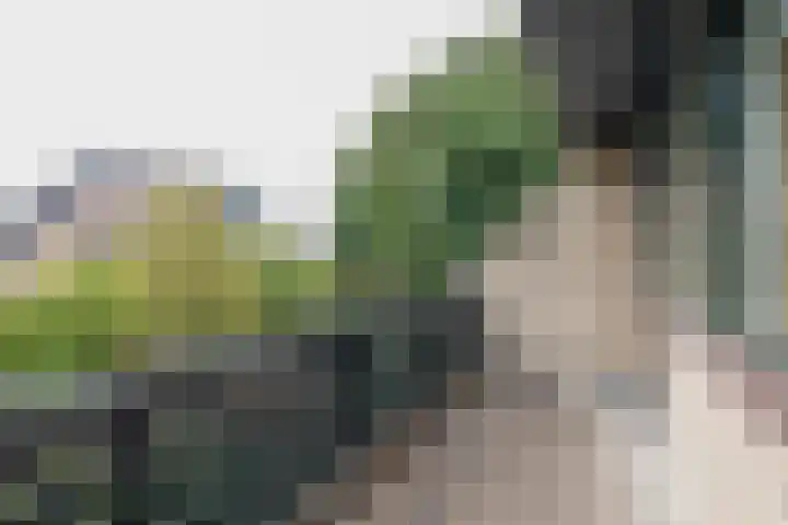 Dominee Honderslaan 12 Wassenaar thumbnail 24