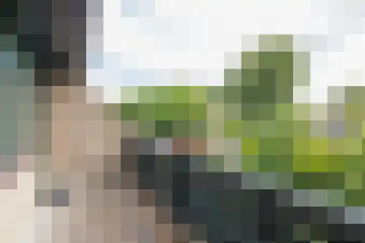 Dominee Honderslaan 12 Wassenaar thumbnail 25