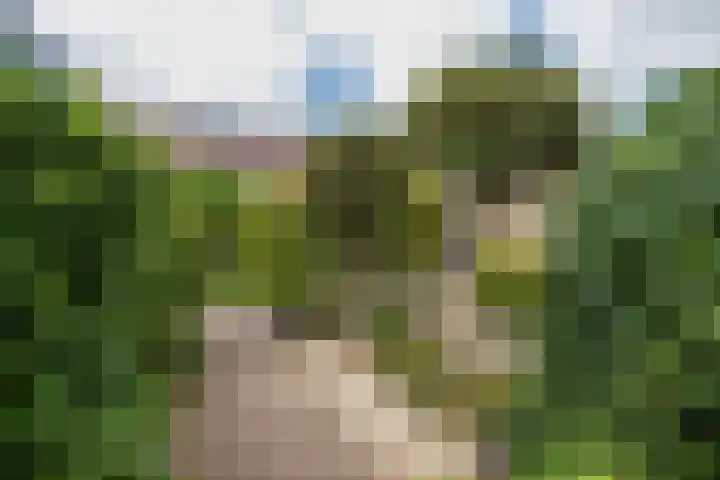 Dominee Honderslaan 12 Wassenaar thumbnail 26