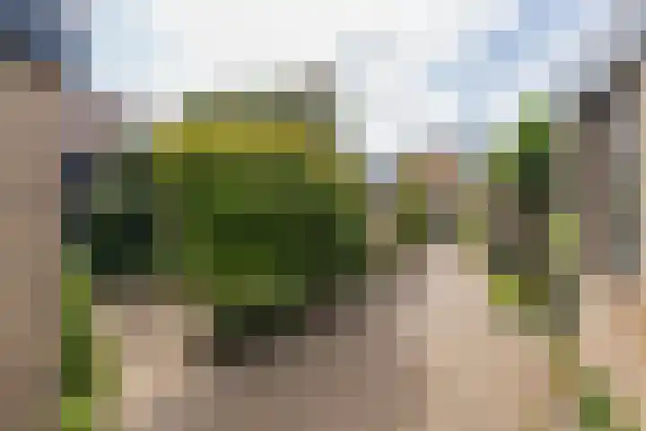 Dominee Honderslaan 12 Wassenaar thumbnail 4