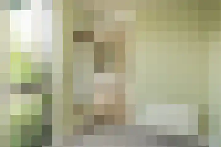 Dominee Honderslaan 12 Wassenaar thumbnail 5