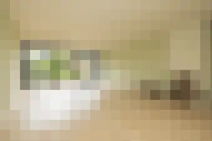 Dominee Honderslaan 12 Wassenaar thumbnail 9