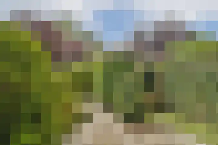 Dominee Honderslaan 6 Wassenaar thumbnail 11