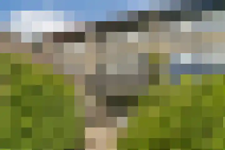 Dominee Honderslaan 6 Wassenaar thumbnail 12