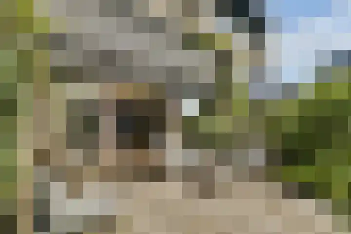 Dominee Honderslaan 6 Wassenaar thumbnail 13