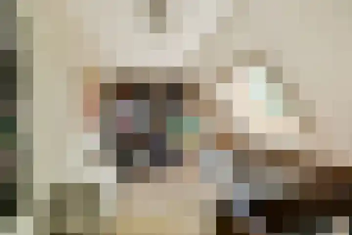 Dominee Honderslaan 6 Wassenaar thumbnail 14