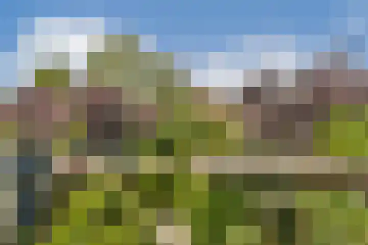 Dominee Honderslaan 6 Wassenaar thumbnail 17