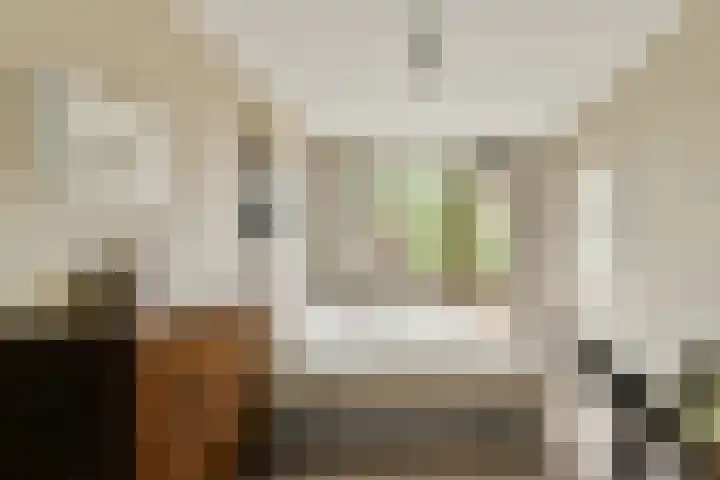 Dominee Honderslaan 6 Wassenaar thumbnail 18