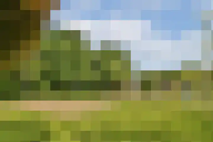 Dominee Honderslaan 6 Wassenaar thumbnail 24