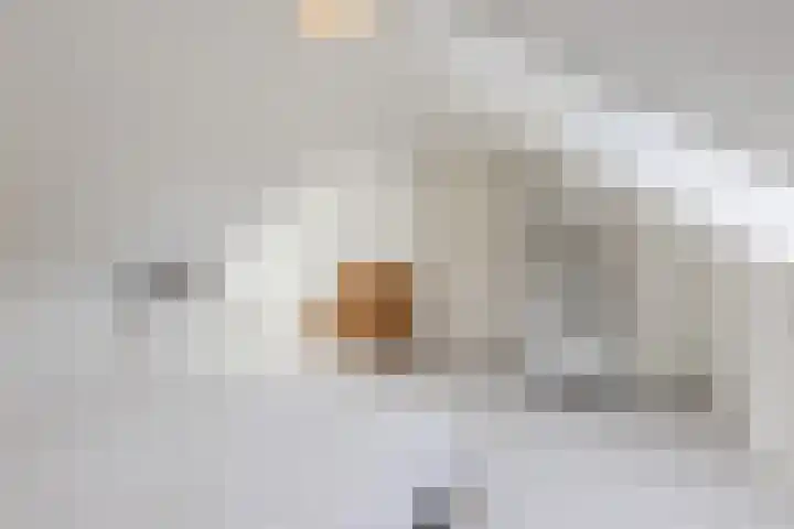 Dominee Kopsstraat 3 Tilburg thumbnail 21