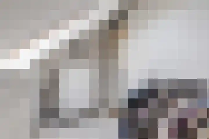 Dominee Kopsstraat 3 Tilburg thumbnail 23