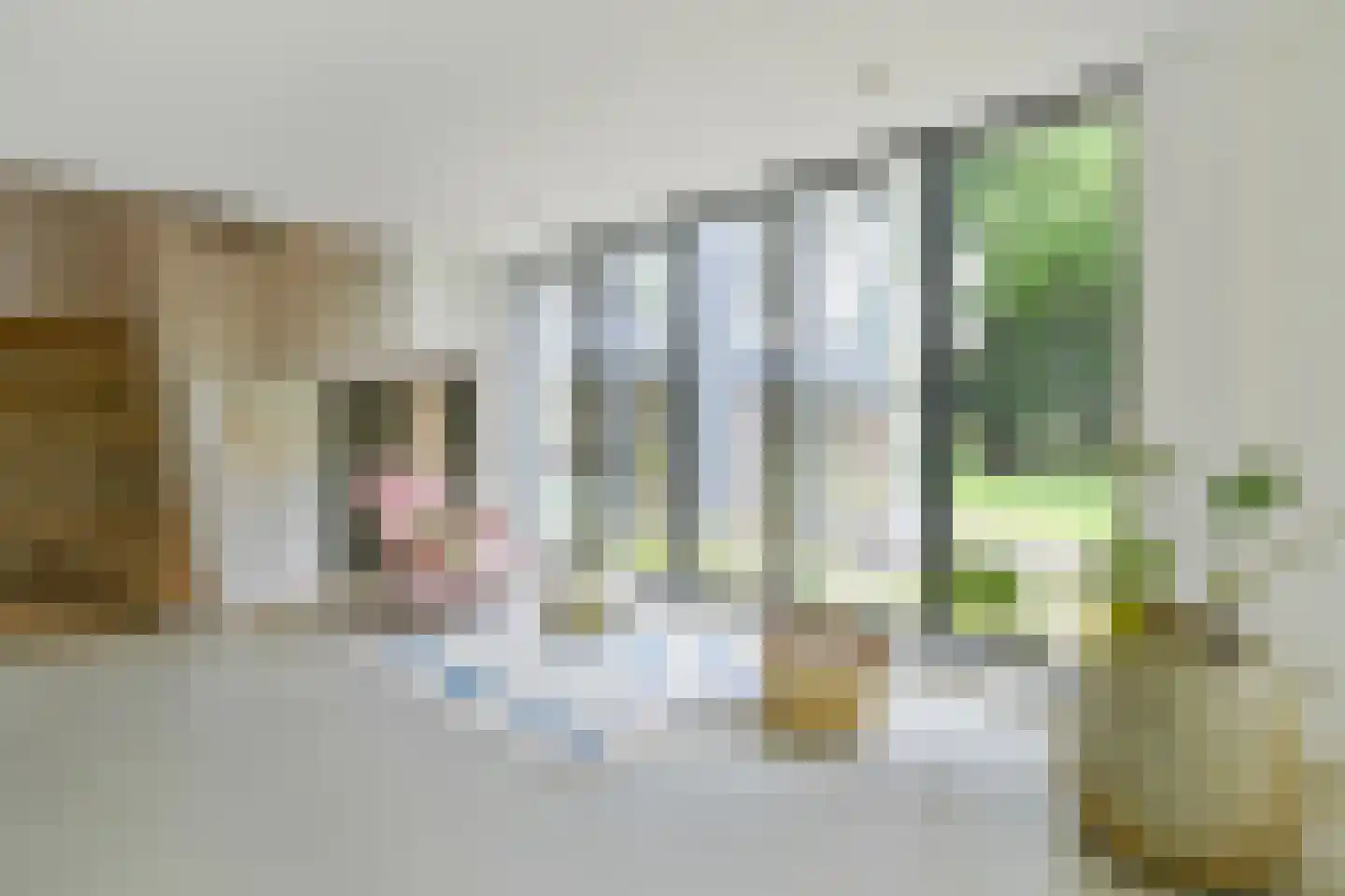 Dominee Kremerstraat 24 Heeze thumbnail 10