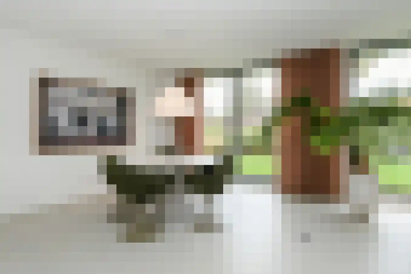 Dominee Kremerstraat 24 Heeze thumbnail 15