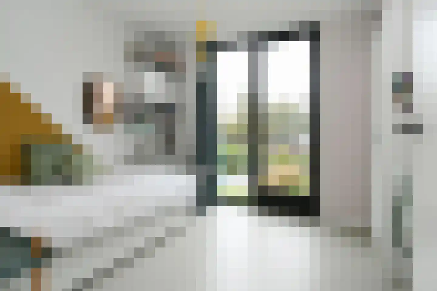 Dominee Kremerstraat 24 Heeze thumbnail 32