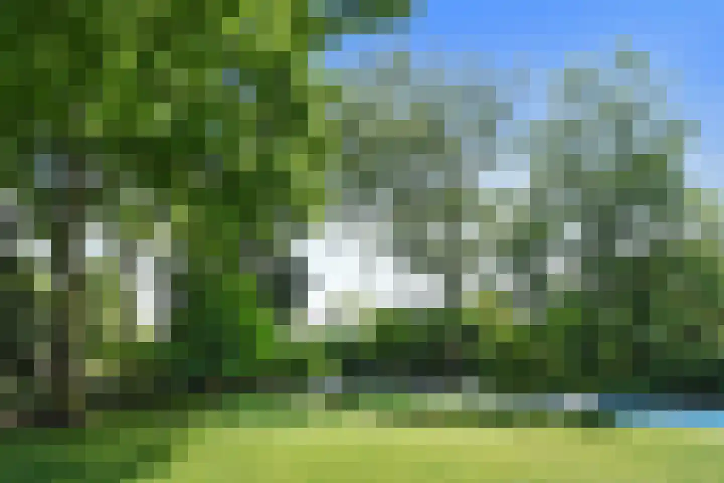 Dominee Kremerstraat 24 Heeze thumbnail 49