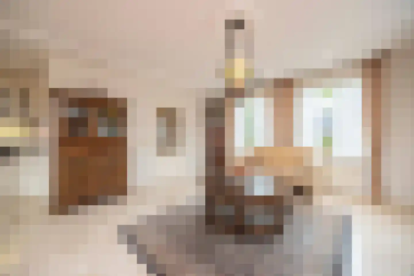 Dominee's hof 5 Oost West en Middelbeers thumbnail 13