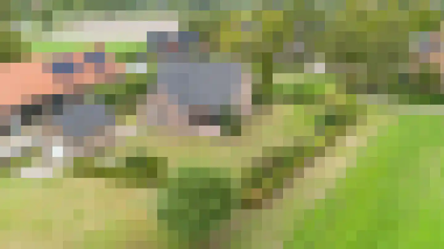 Dominee's hof 5 Oost West en Middelbeers thumbnail 35