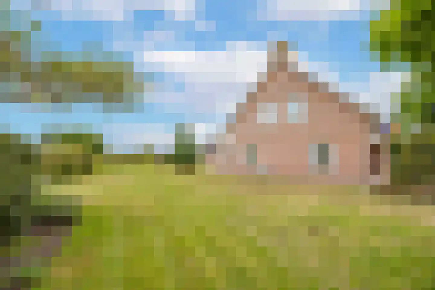Dominee's hof 5 Oost West en Middelbeers thumbnail 37