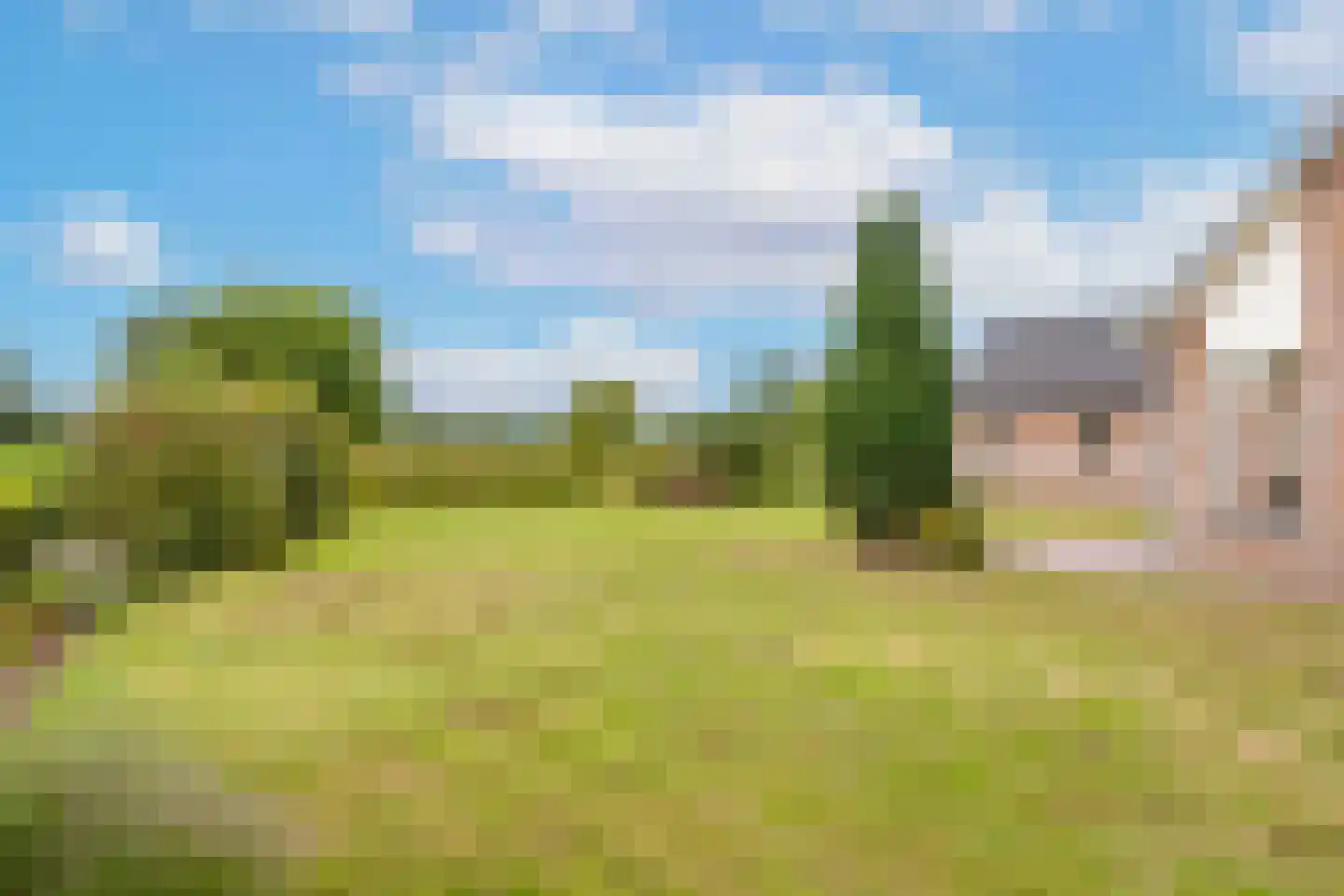 Dominee's hof 5 Oost West en Middelbeers thumbnail 38