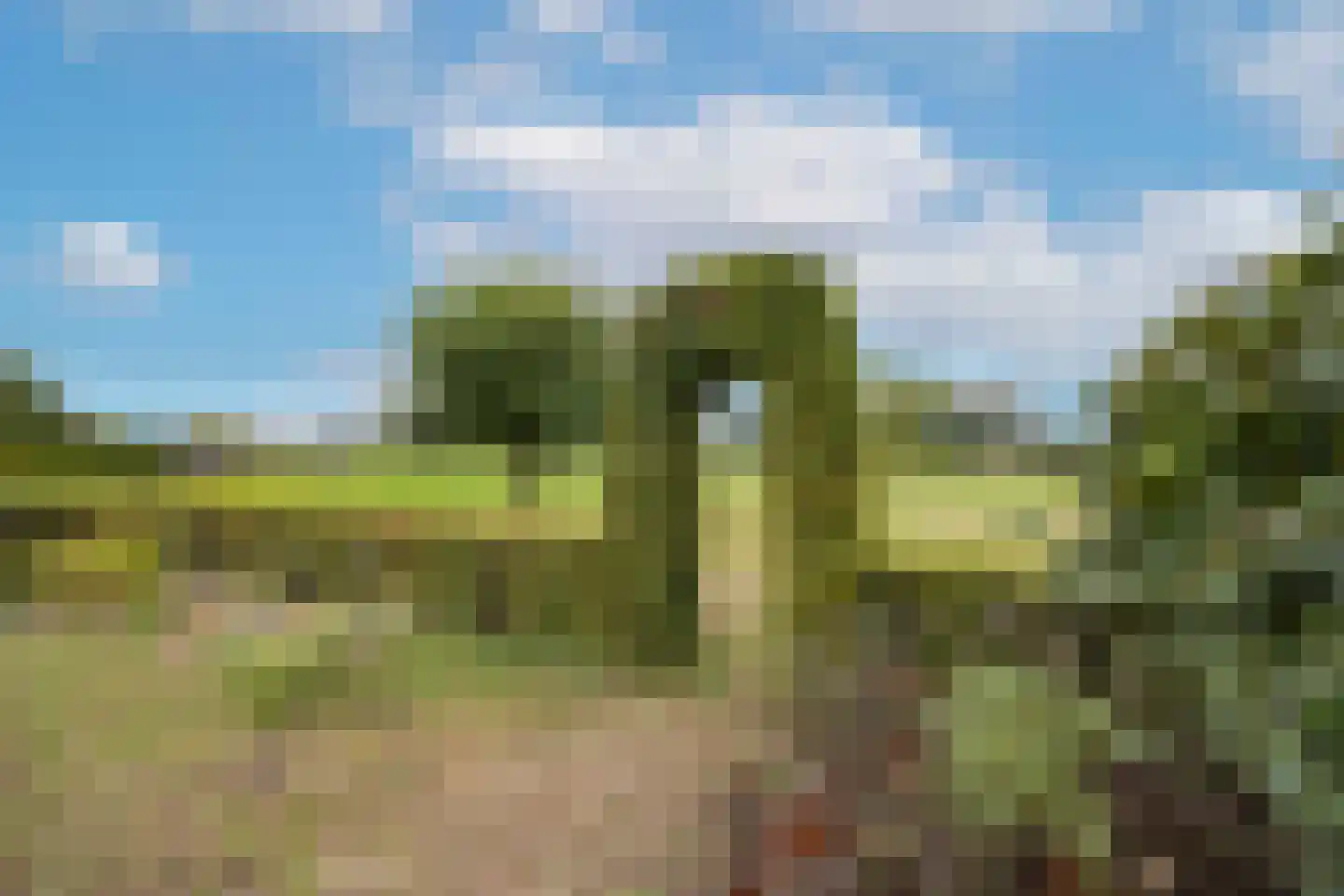 Dominee's hof 5 Oost West en Middelbeers thumbnail 41